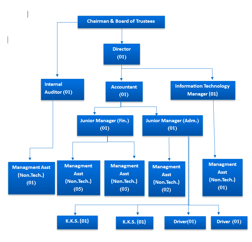 orgnization chart